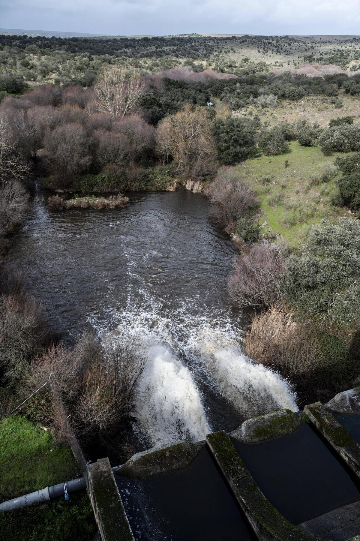 Fotogalería | Así ha sido el desembalse del Guadioloba, este viernes Fotogalería | Así ha sido el desembalse del Guadioloba, este viernes