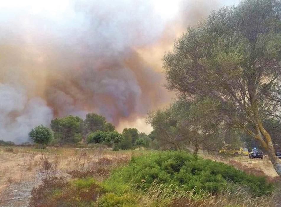 Oleada de incendios en Mallorca