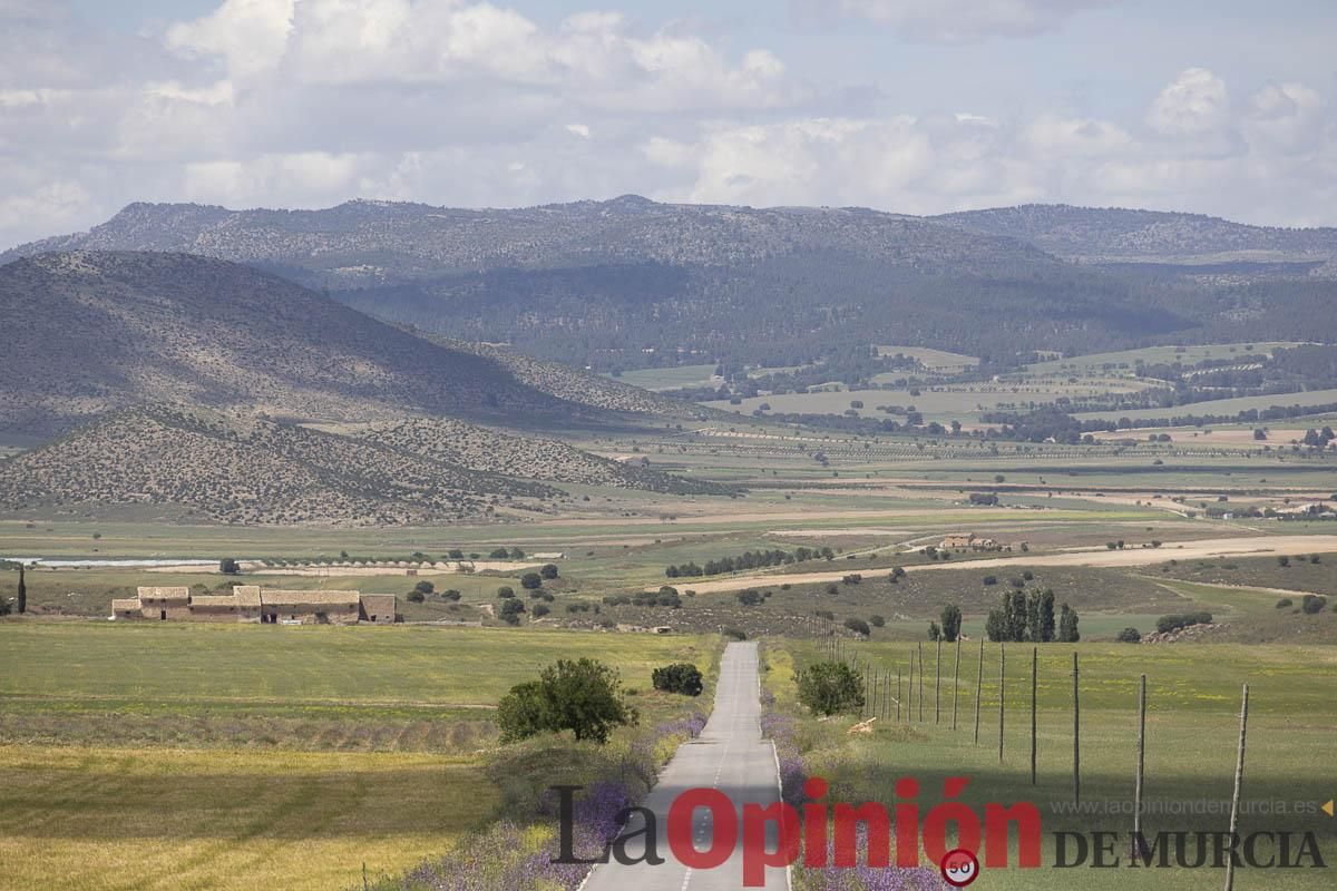 Romería de San Isidro en los Poyos de Celda de Caravaca