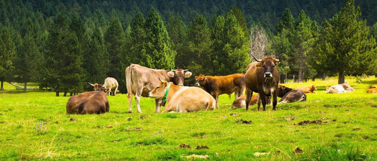 Agricultores y ganaderosen la frontera