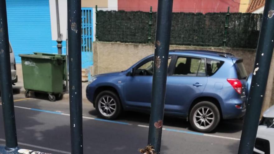 Un enjambre de abejas negras 'toma' la cancha de un colegio de Santa Brígida