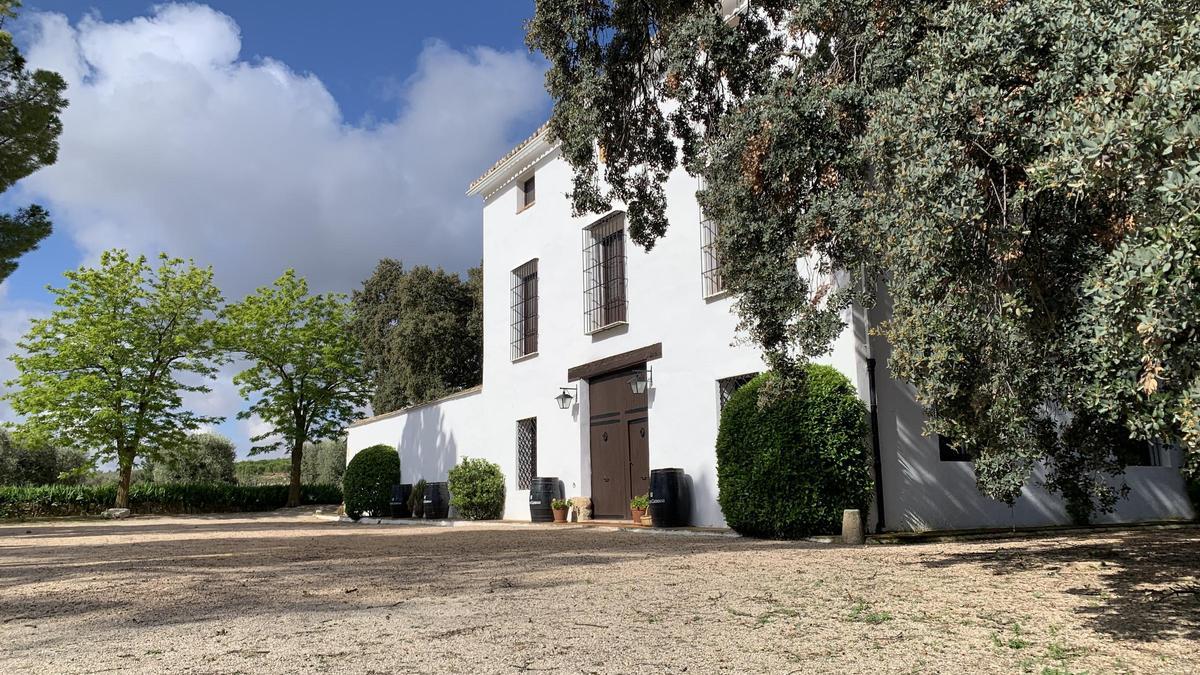 La finca dispone de más de 300 hectáreas dedicadas al cultivo de uva.