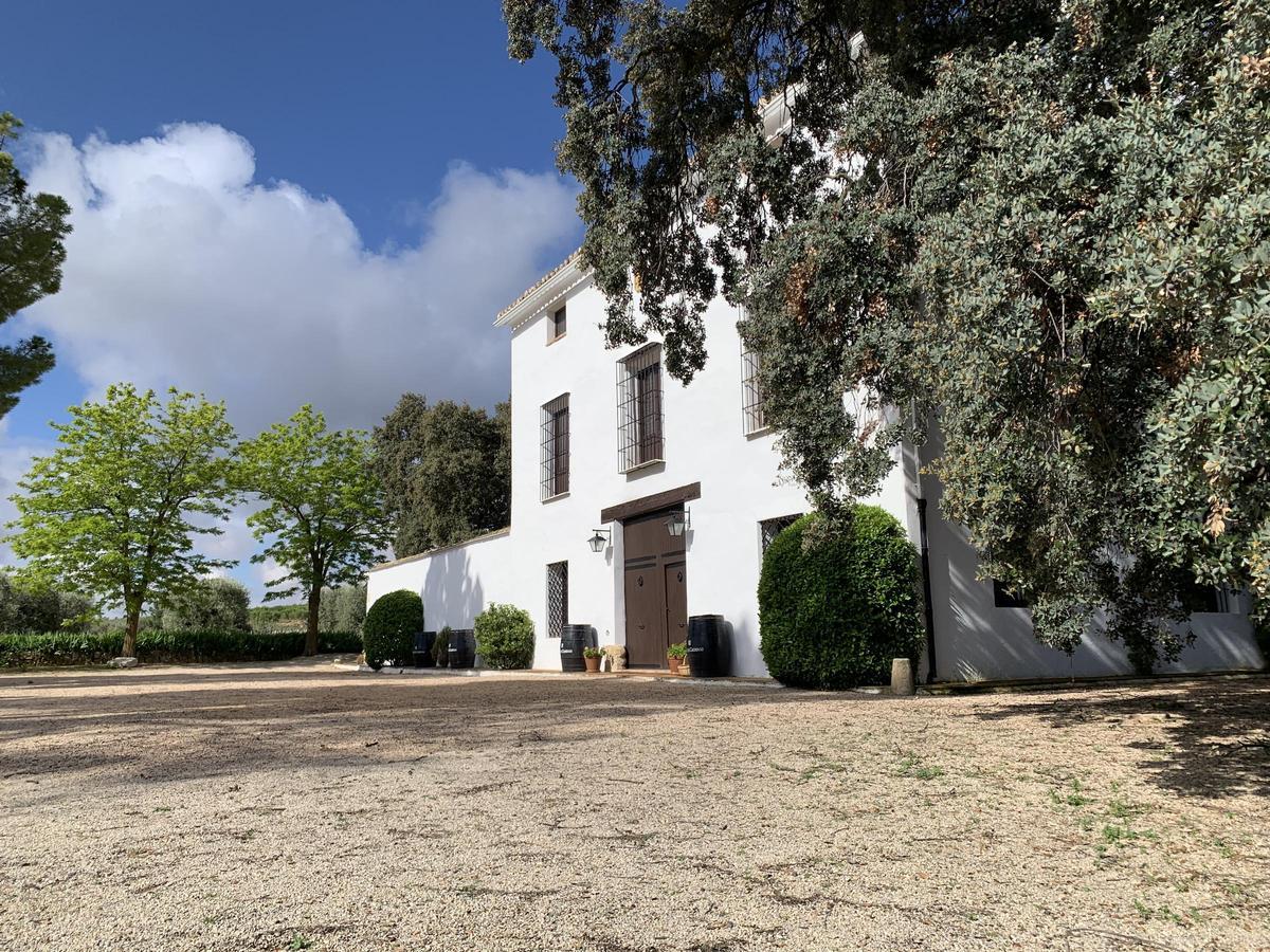 La finca dispone de más de 300 hectáreas dedicadas al cultivo de uva.