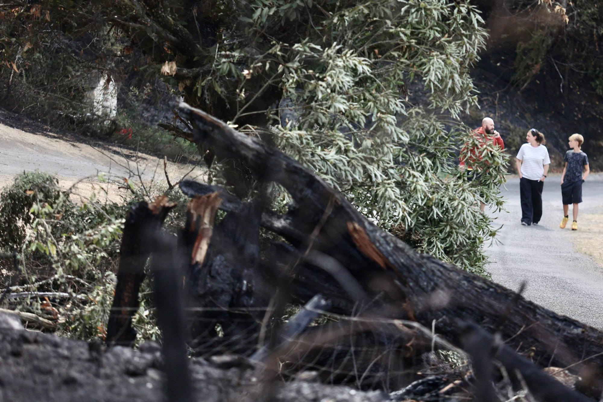 EN IMÁGENES: La evolución del incendio de Ibias