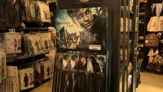 El "santuario" de Harry Potter abierto en Asturias, al que ya peregrinan los fans de la saga: "Te sientes como en la película"