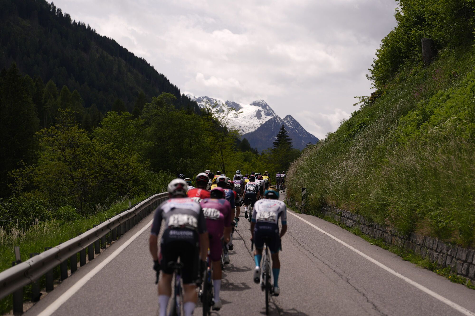 May 28, 2025, Italy: The pack rides cycles during the stage 17 of the Giro d'Italia from San Michele all'Adige (Edmund Mach Foundation) to Bormio, Italy - Wednesday, May 28, 2025. Sport - cycling. (Photo by Fabio Ferrari/LaPresse),Image: 1004213866, License: Rights-managed, Restrictions: * Bulgaria, Croatia, Czech Republic, France, Hungary, Italy, Romania, Slovak Republic, Serbia and Slovenia Rights Out *, Model Release: no, Credit line: Fabio Ferrari / Zuma Press / ContactoPhoto Editorial licence valid only for Spain and 3 MONTHS from the date of the image, then delete it from your archive. For non-editorial and non-licensed use, please contact EUROPA PRESS. 28/05/2025 ONLY FOR USE IN SPAIN. Fabio Ferrari / Zuma Press / ContactoPhoto;Press;LP_23410735.jpg;20250528_zsa_z19_116.jpg;Stage 17 of the Giro d'Italia;