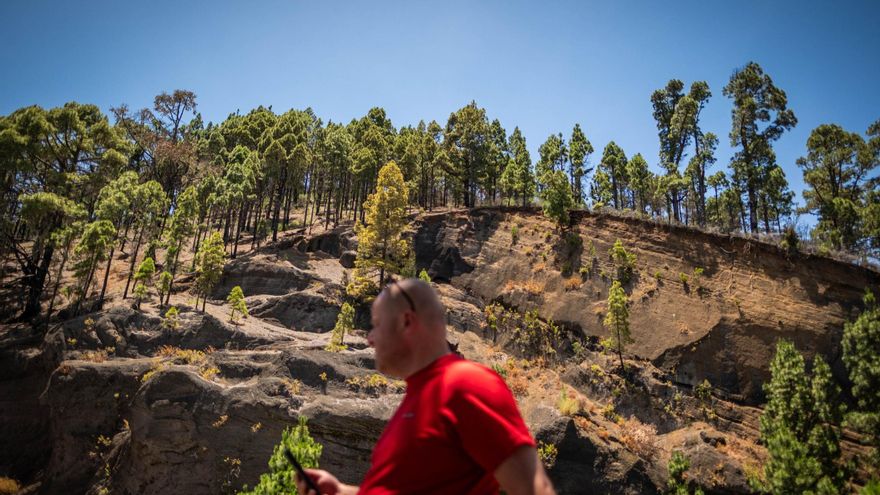 Los montes canarios no se libran del peligro de incendio pese a las últimas lluvias