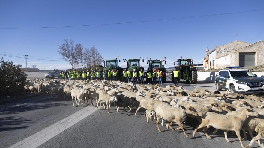 VIDEO Protestas de los agricultores y ganaderos en Caravaca