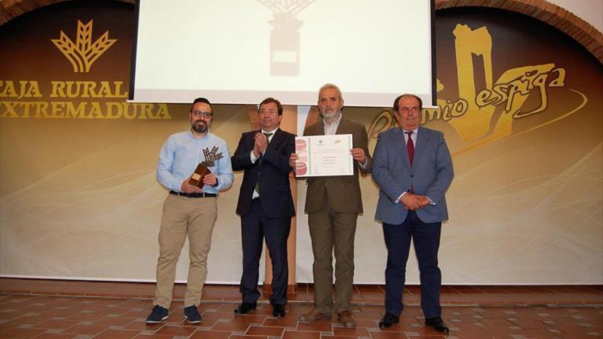 El Castúo, Espiga de Oro a la mejor Torta del Casar con Denominación de Origen