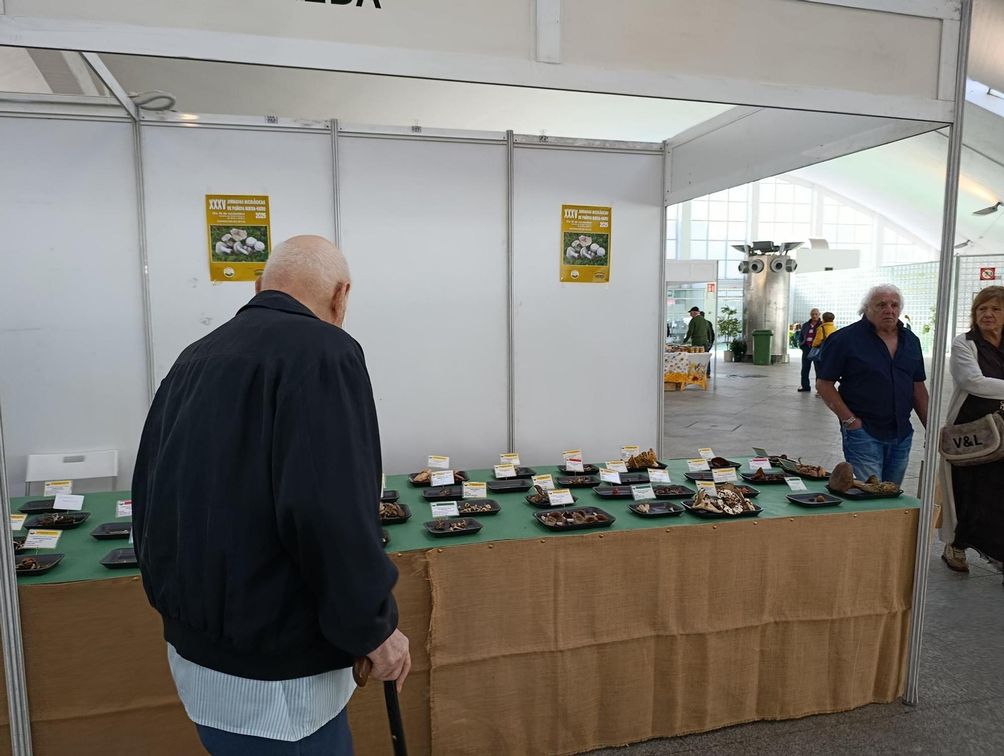 Lleno en la muestra agroalimentaria de la Plaza de Abastos de La Pola