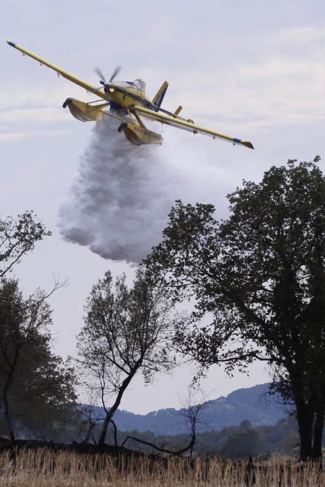 Incendi entre Cruïlles i Monells