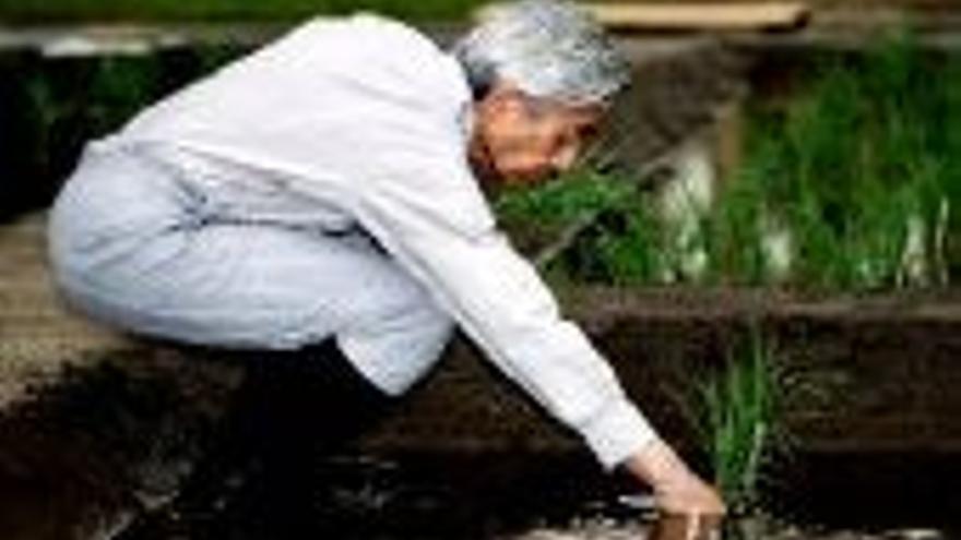 Akihito dedica el tiempo libre a embarrarse en el jardín de palacio