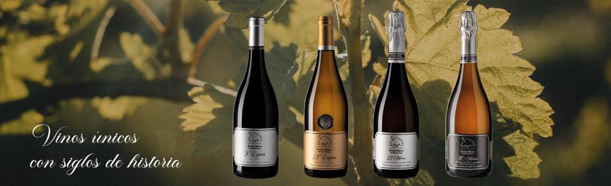 Encina Blanca de Alburquerque.