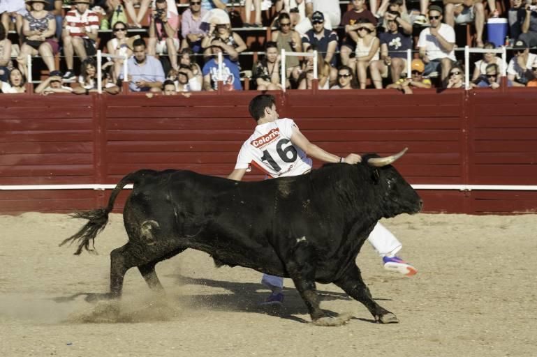 Concurso de cortes en la Plaza de Toros de Benaven