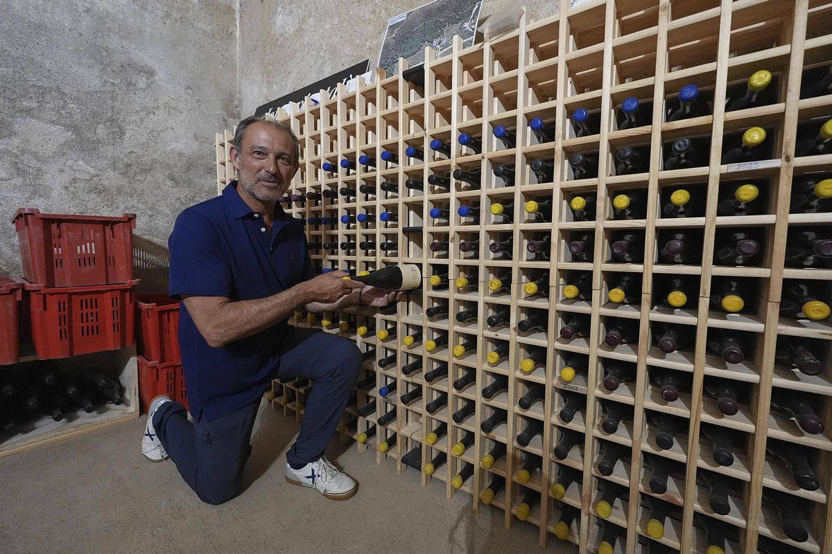Col·lecció d'ampolles d'altres anyades del celler Somni d'istiu.