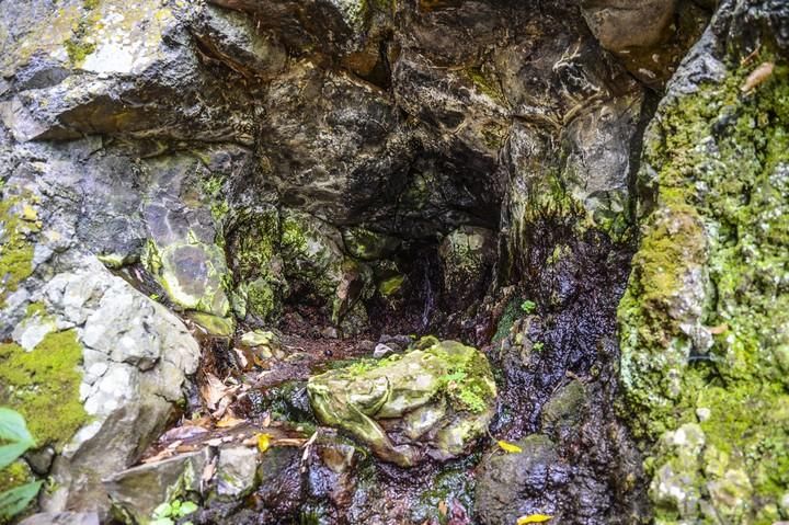 NACIENTES DE AGUA EN EL BARRANCO DE LA VIRGEN