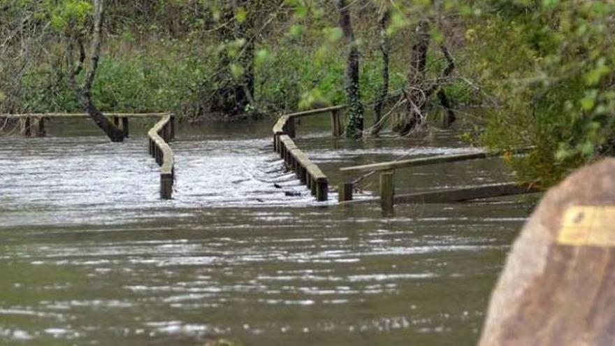 El río Umia volvió a desbordar en las últimas horas tras las lluvias del lunes. // Noé Parga