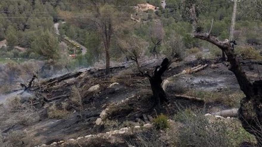 La Guardia Civil investiga el origen del incendio forestal de Sóller