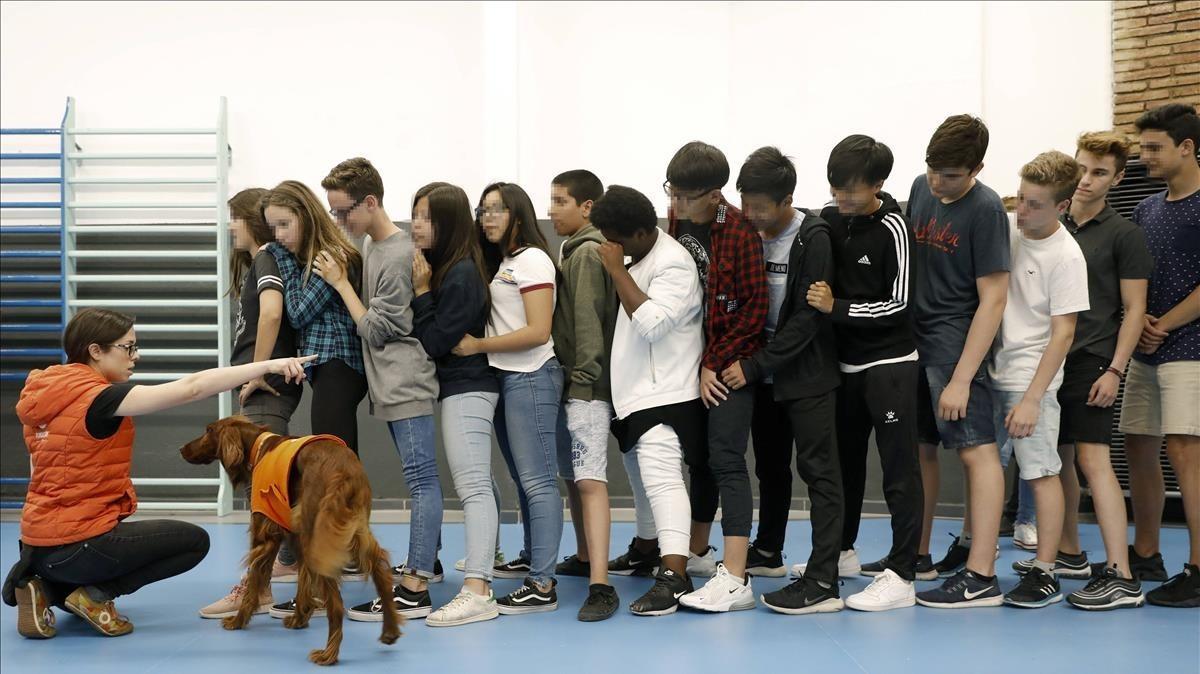 Los alumnos del colegio Lleó XIII trabajan con la ayuda de un can valores como el respeto, la inclusión y el trabajo en equipo