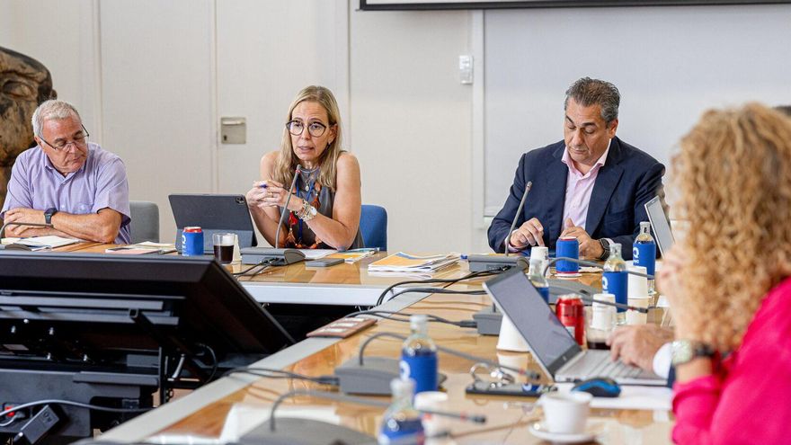El Consejo Social de la ULPGC dejará las fundaciones y sociedades para garantizar su independencia fiscalizadora