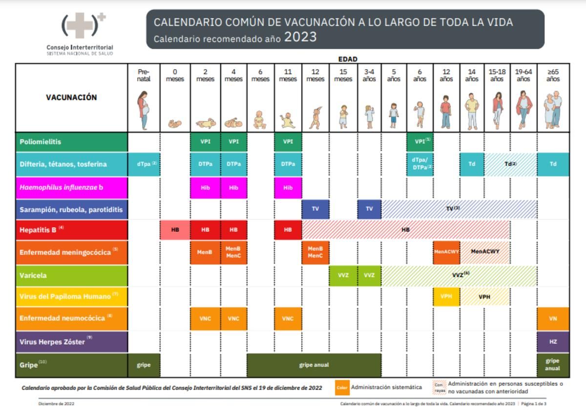 Calendario vacunacional en España: ¿cuándo se vacuna contra la tosferina?