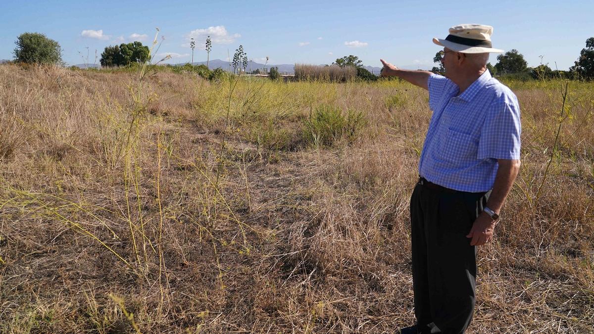 Juan Manuel Muñoz Gambero señala el área que excavó en los 60.