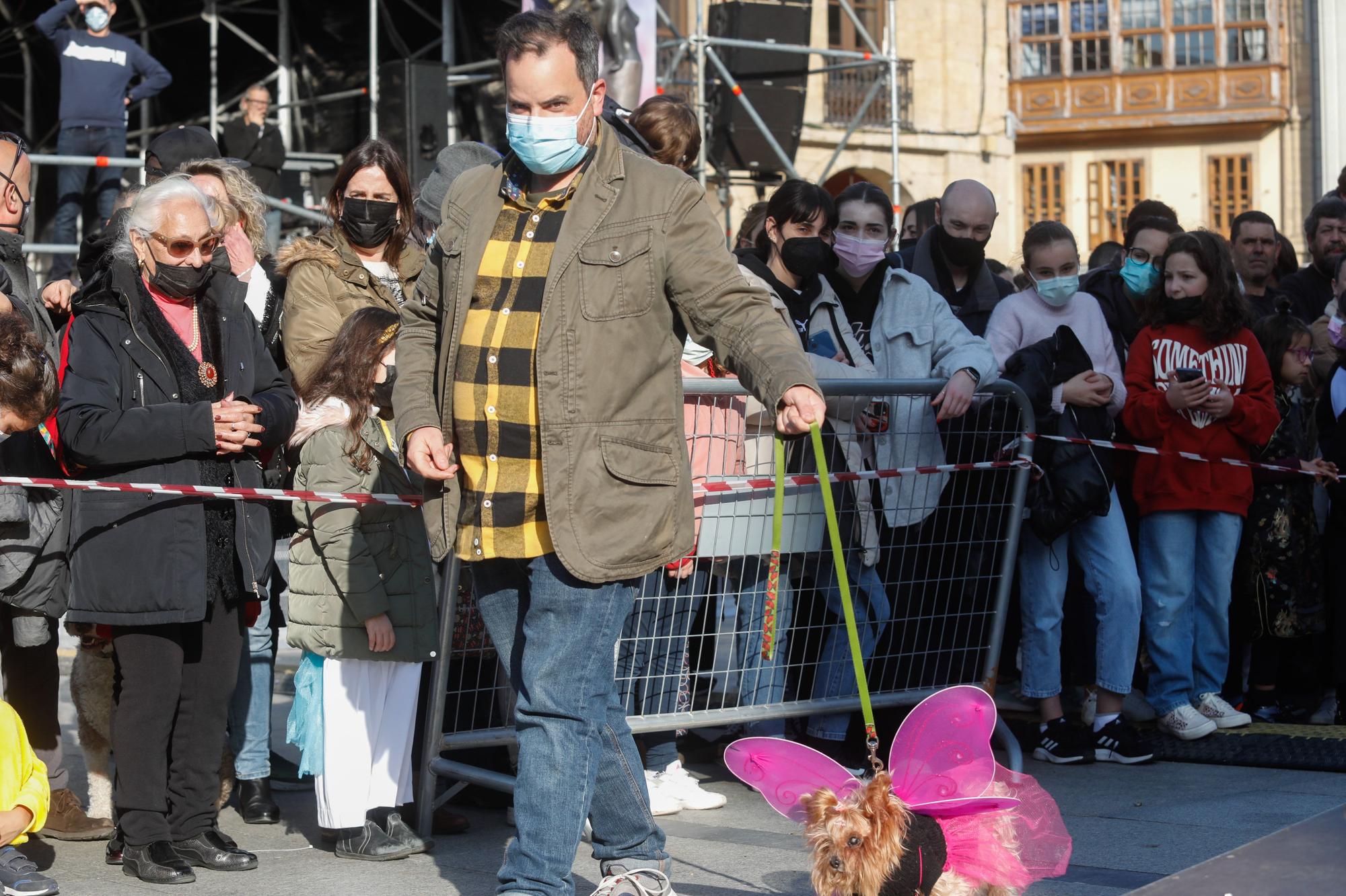 El domingo de Antroxu en Avilés: perros y coches, disfrazados