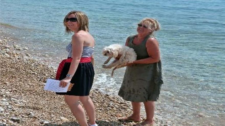 Vinaròs sigue los pasos de Gandia y también acota una playa para perros