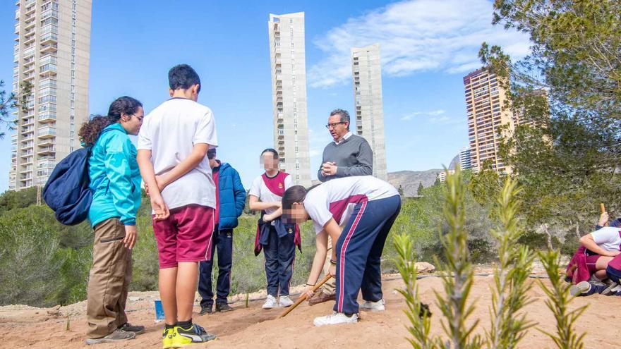 Así celebra Benidorm el día del árbol: 200 especies autóctonas para El Moralet