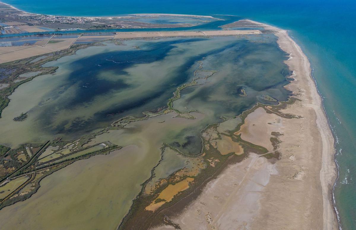 Crescudes provocades, el pla per salvar el delta de l’Ebre