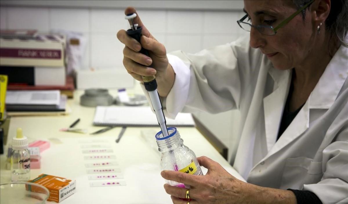  Laboratorio del Institut de Ciencia i Tecnologia Ambiental (ICTA) de la UAB. 