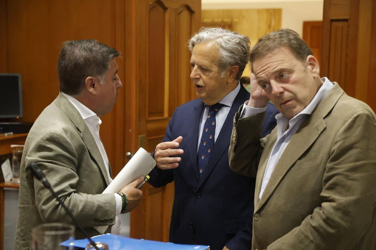 A.J.González Córdoba Pleno del Ayuntamiento del mes de Junio