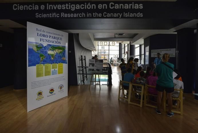 13/07/2017. LAS PALMAS DE GRAN CANARIA.  Fernando Clavijo presidente del Gobierno de Canarias inaguró una nueva  sala de exposición en el Museo Elder. FOTO: J. PÉREZ CURBELO