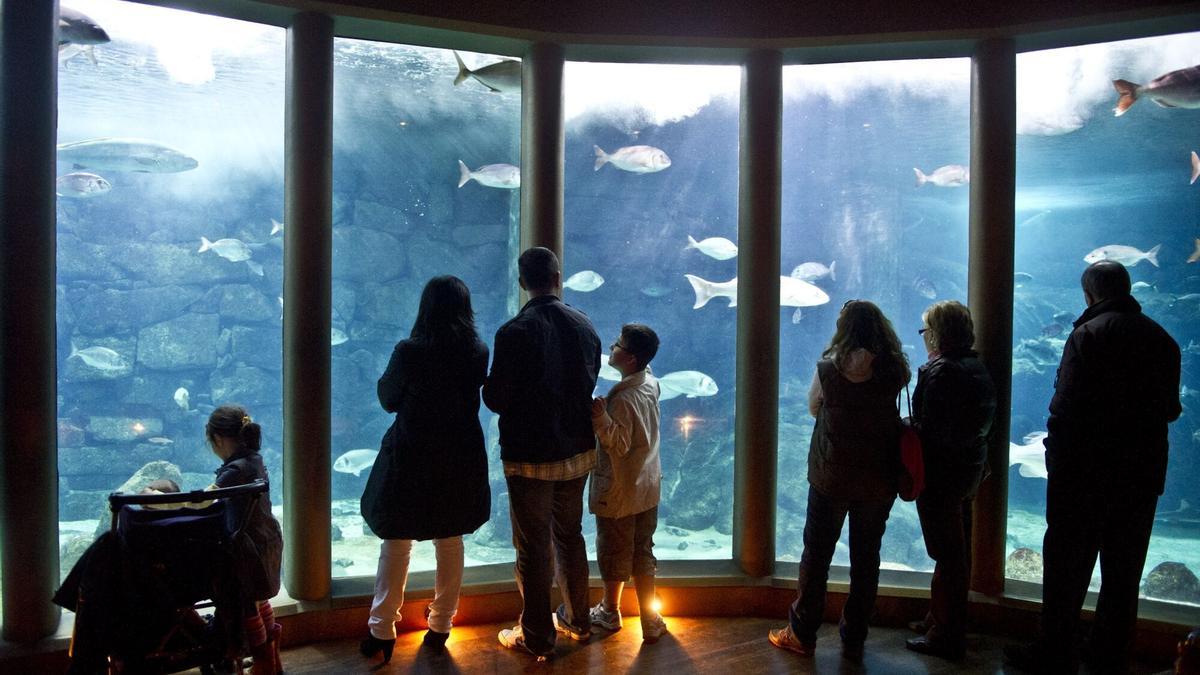 Sala Nautilus, en la Casa de los Peces de A Coruña.