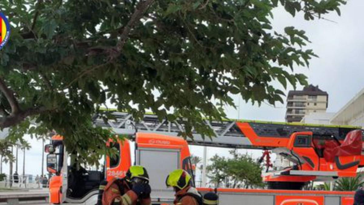 Temor en un incendio en Gandia al creer que podía haber personas atrapadas