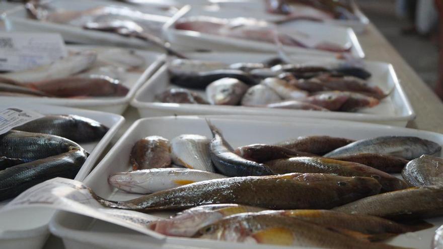 Huye de estos tres pescados cuando vayas a la pescadería