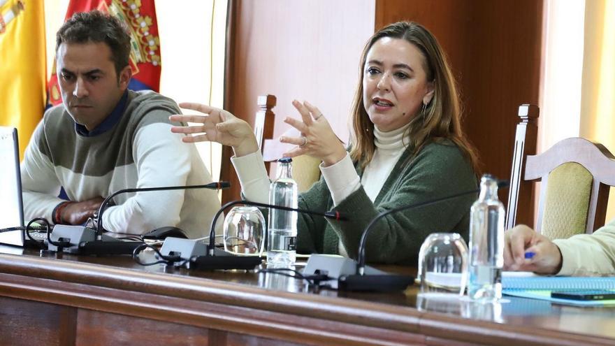 María Dolores Corujo, durante una intervención en la reunión celebrada en el Cabildo. | |