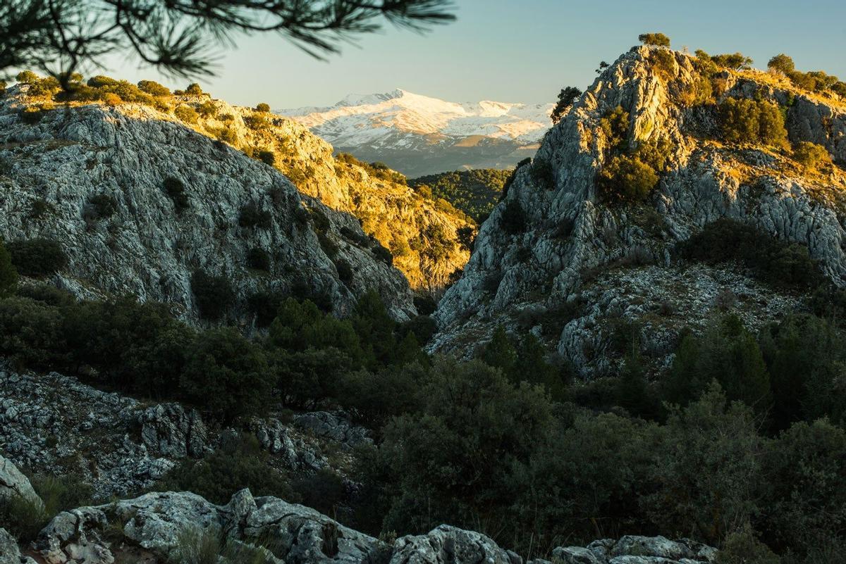 Sierra Nevada