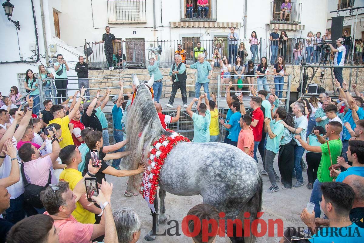 Entrega de premios del concurso morfológico de los Caballos del Vino de Caravaca