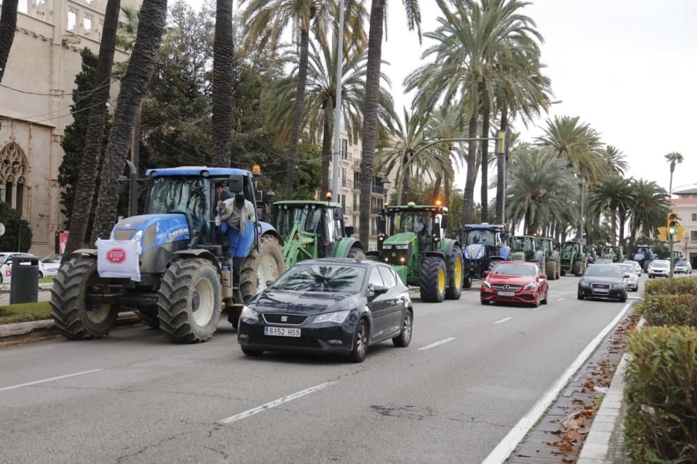 Tractorada sorpresa de los agricultores de Mallorca contra el Govern Armengol