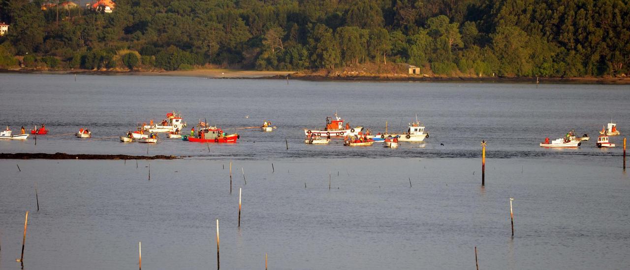 Marisqueo a flote en la desembocadura del Ulla.