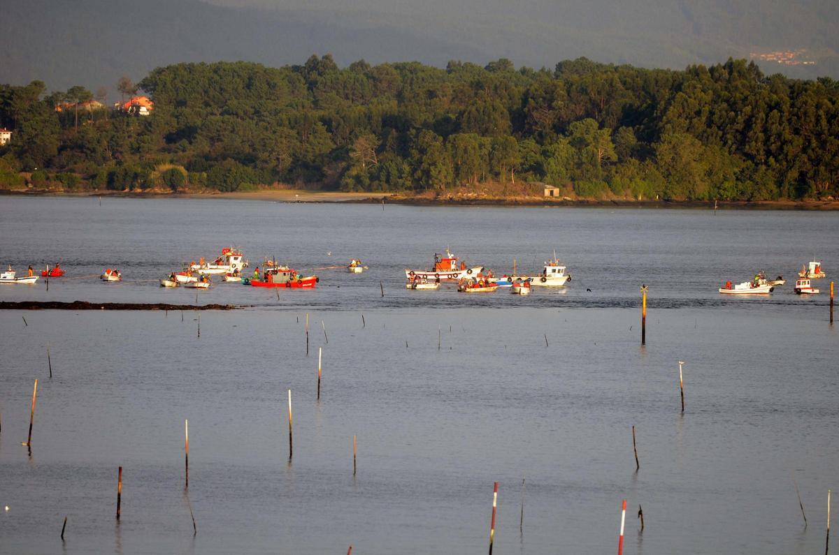 Marisqueo a flote en la desembocadura del Ulla.