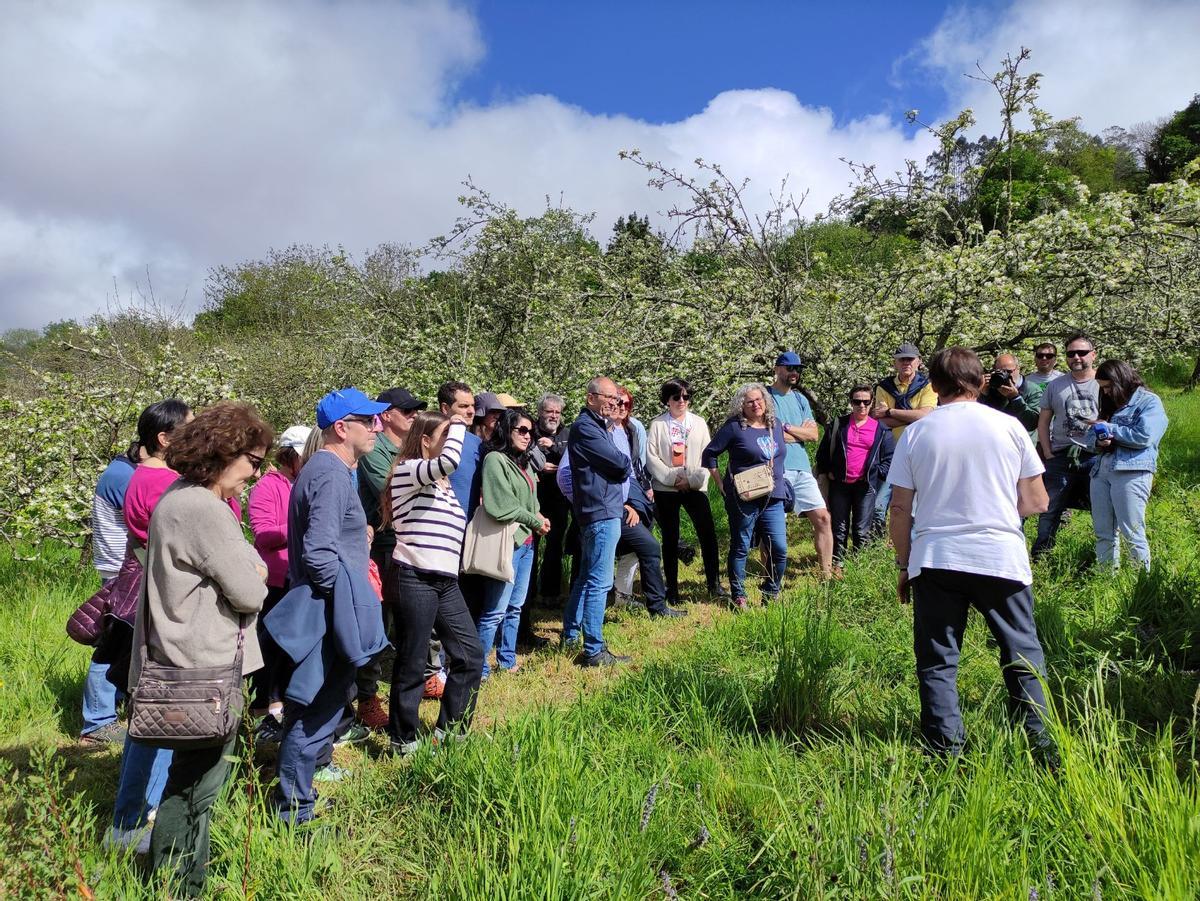 Un grupo de visitantes en la floración de una pumarada de Sariego