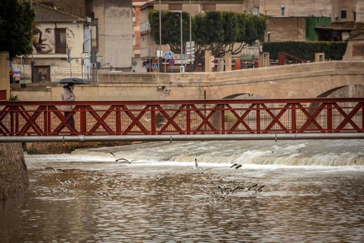 Una de las pasarelas peatonales sobre el río Segura