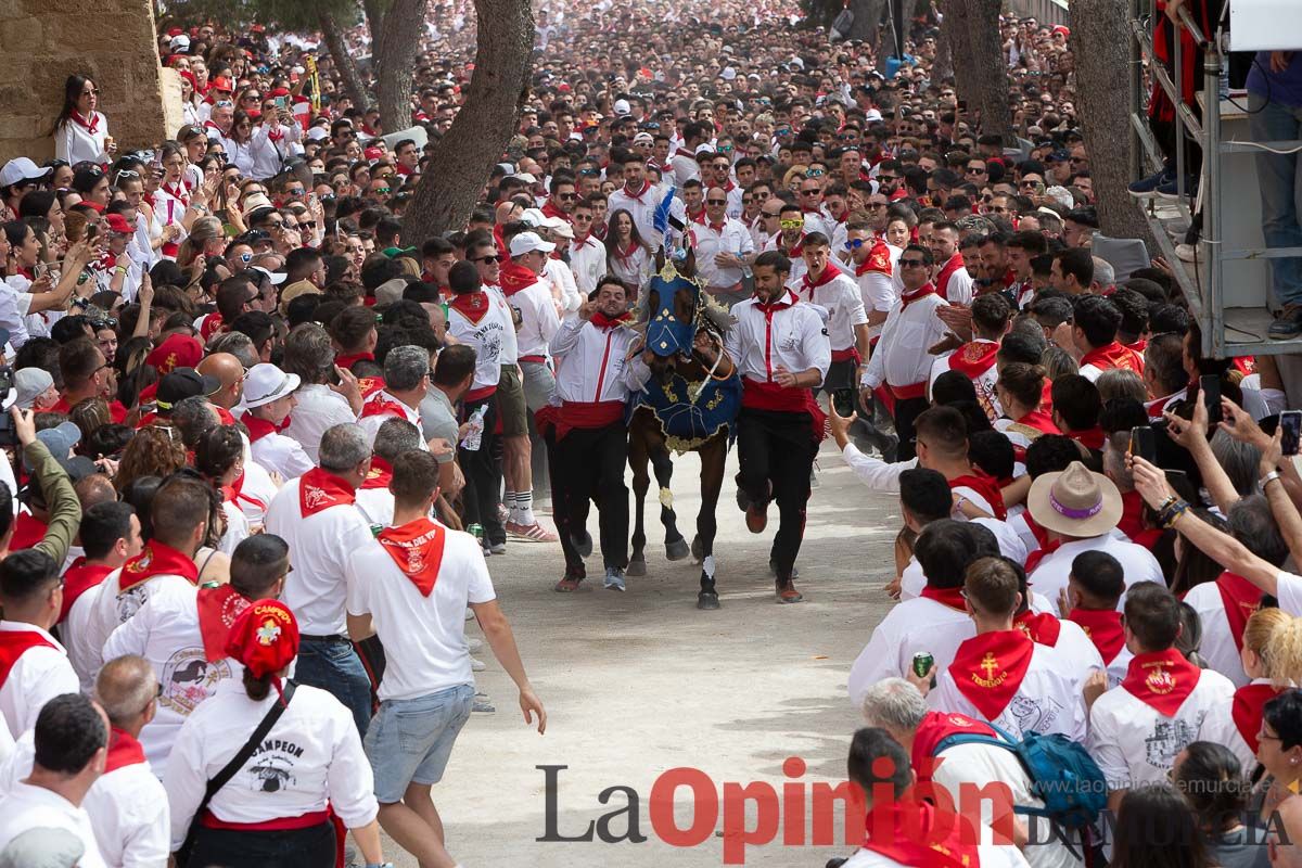 Así ha sido la carrera de los Caballos del Vino en Caravaca