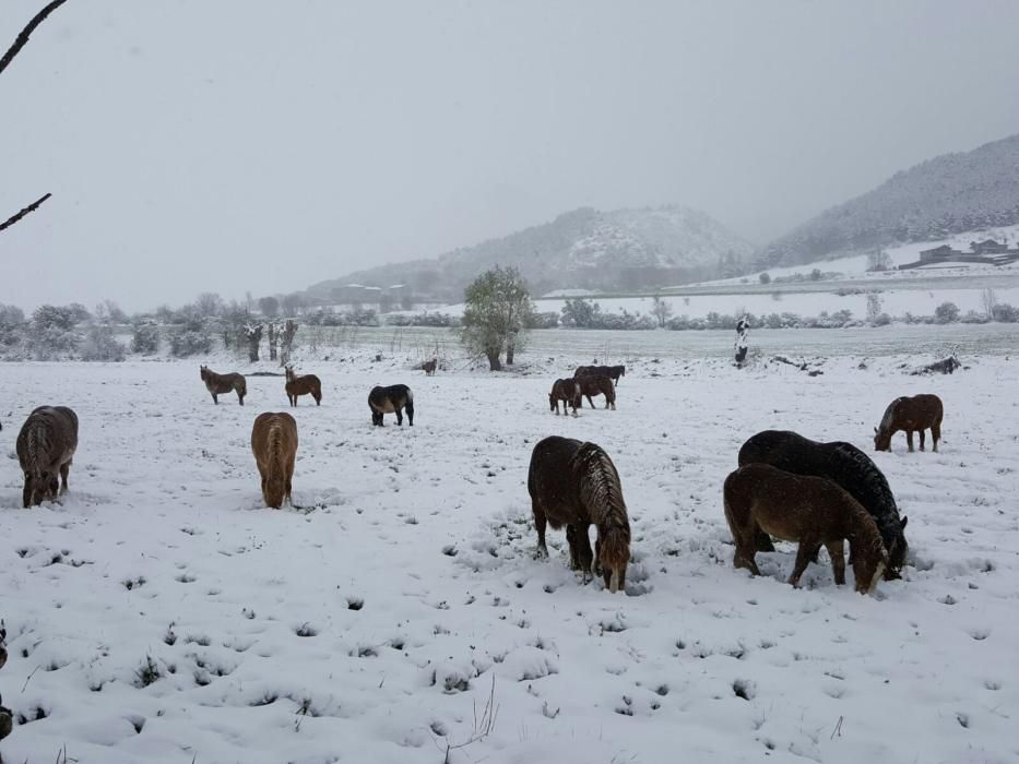 Nevades a la Cerdanya i el Berguedà