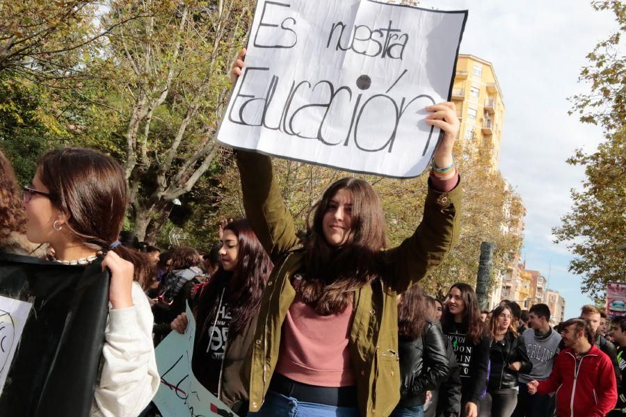 Manifestación contra la LOMCE en Zamora