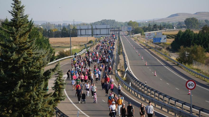 GALERÍA | Zamora camina en la Marcha de Asprosub