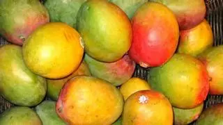 Comer mango: el secreto para combatir estas tres enfermedades