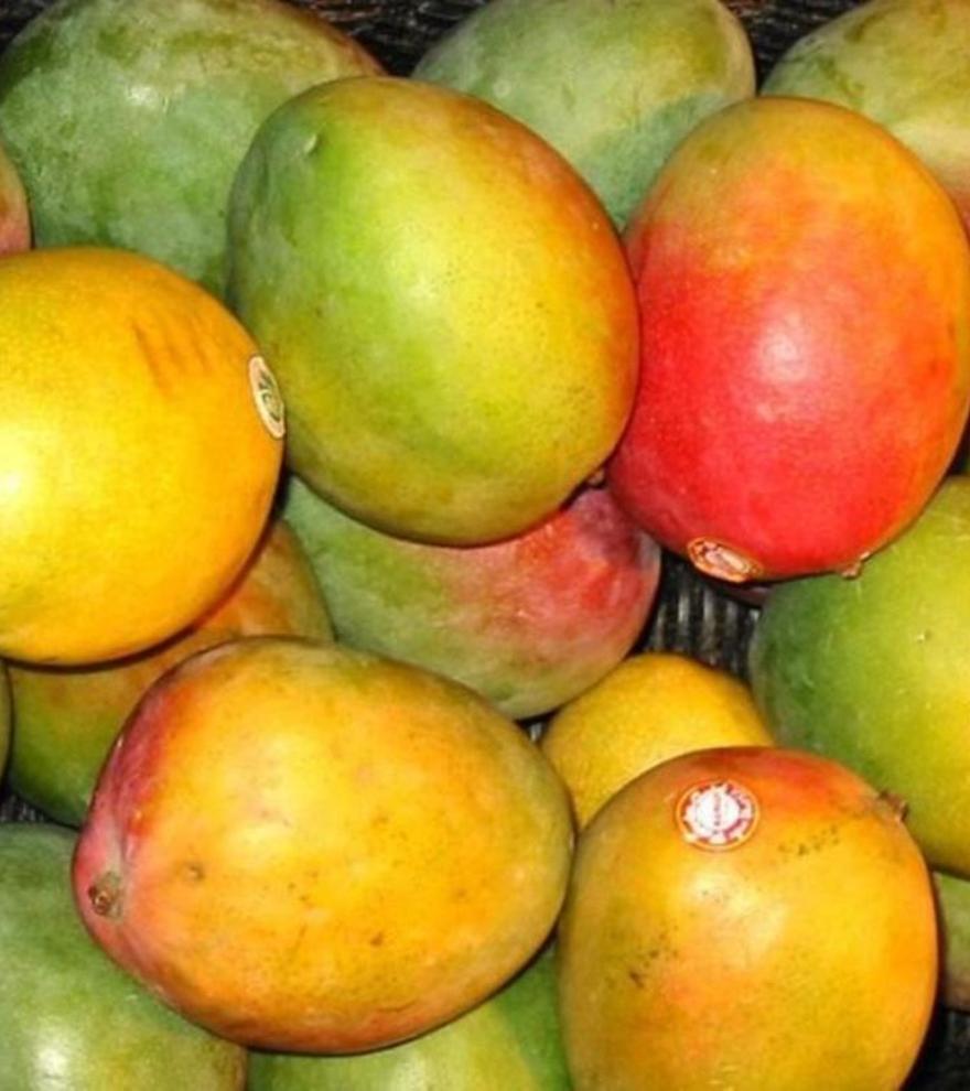 Tres enfermedades que se pueden combatir comiendo mango